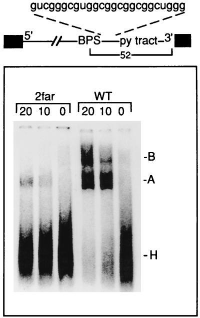 FIG. 6