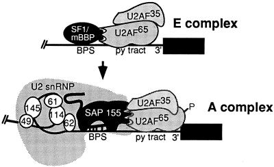 FIG. 8