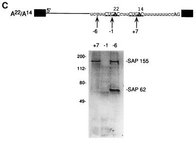 FIG. 7