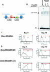 FIG. 7.