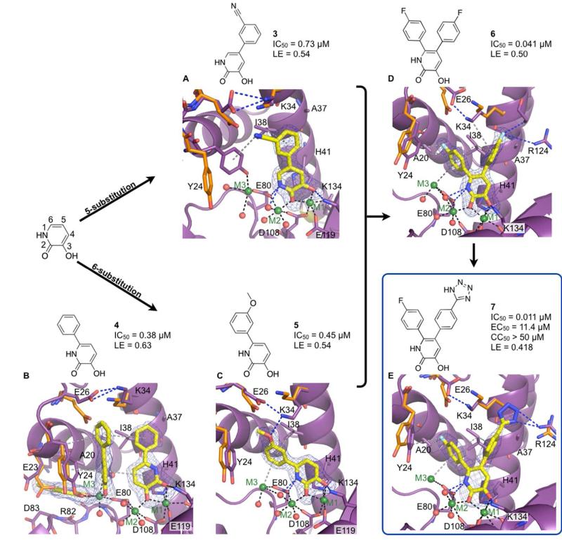 Figure 3