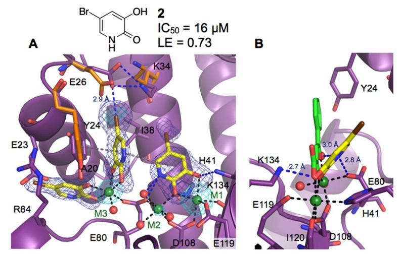 Figure 4