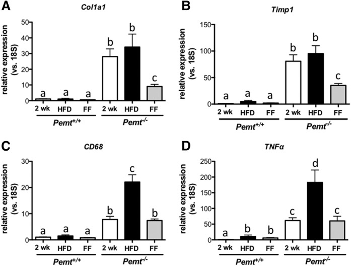 Fig. 9.