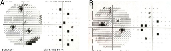 Fig. 5