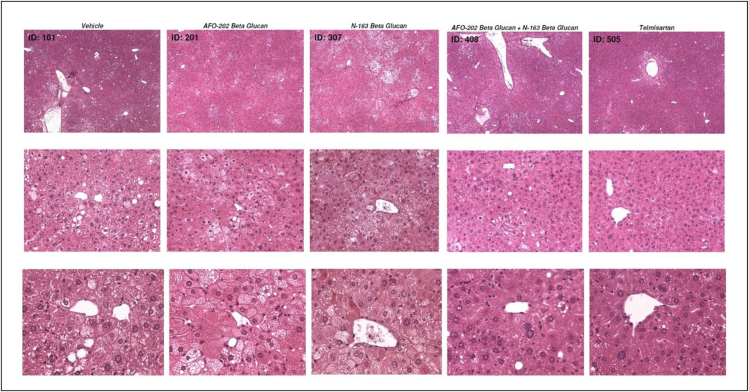 Figure 4