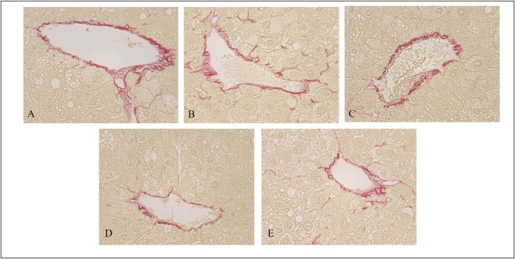 Figure 2