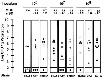 FIG. 6