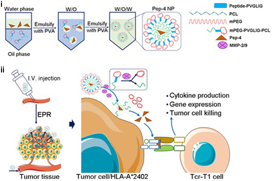 graphic file with name 44321_2024_184_Figa_HTML.jpg