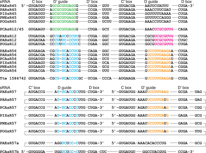 Figure 4.