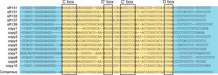 Figure 5.