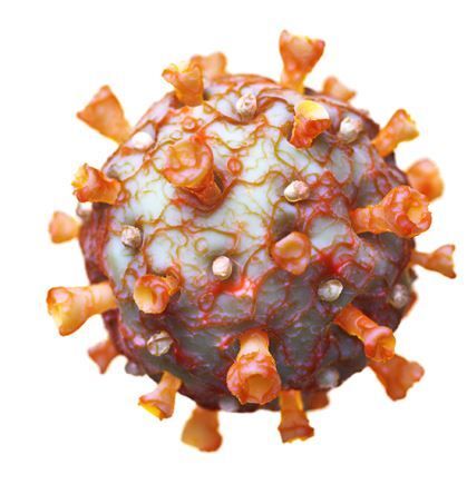 graphic file with name 11298_2020_7998_Fig2_HTML.jpg