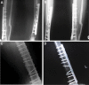 Fig.3