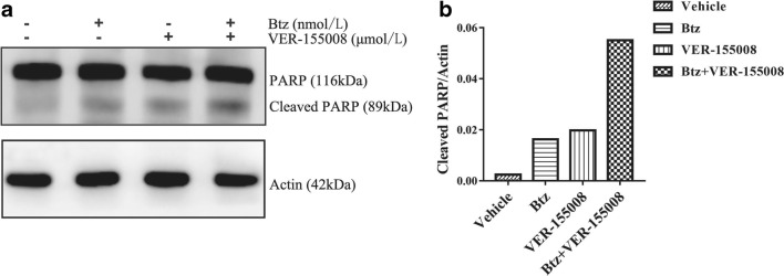 Fig. 4