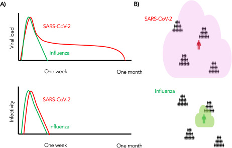 Figure 10.