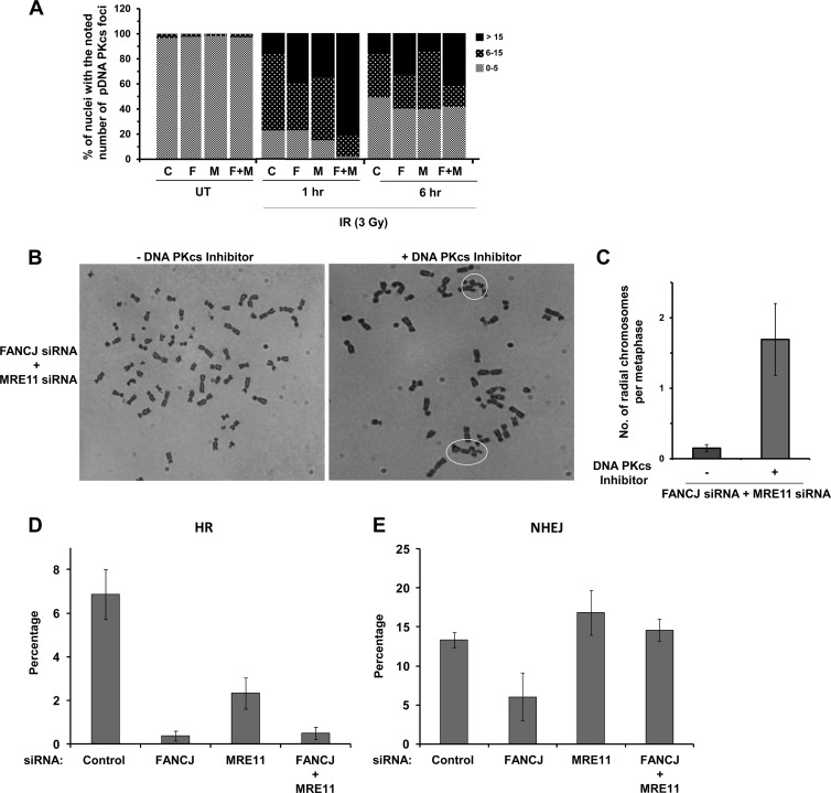 Fig 8