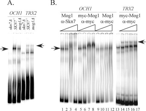 FIG. 9.