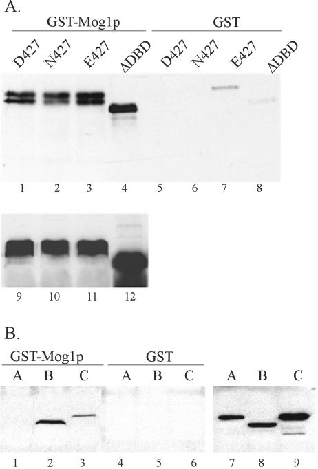 FIG. 5.