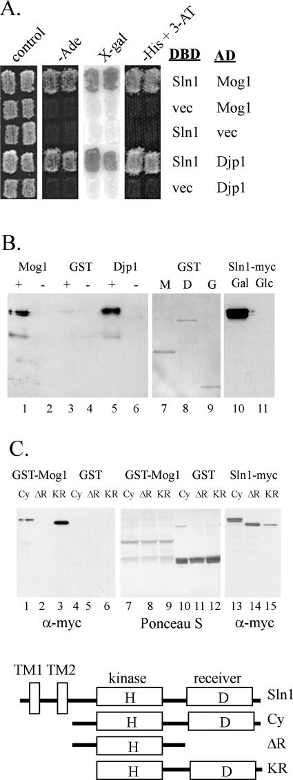 FIG. 1.