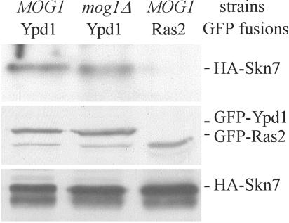 FIG. 7.