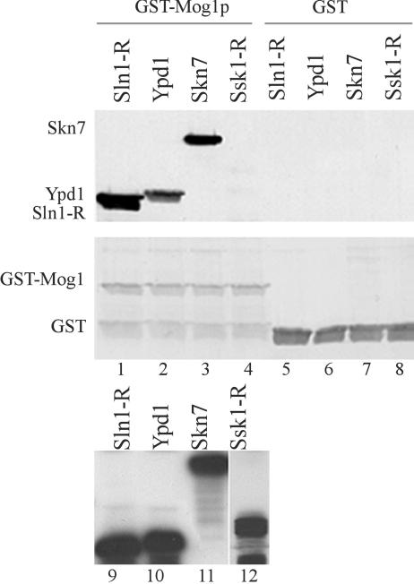 FIG. 4.