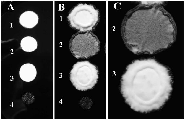 Fig. 7