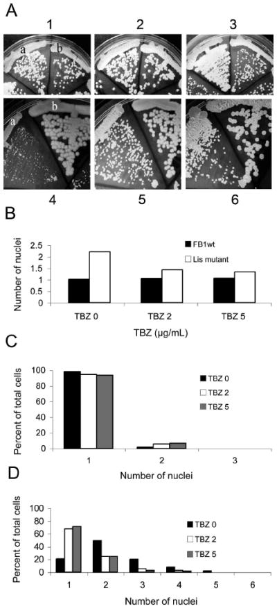 Fig. 10