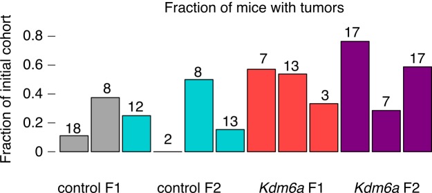 Figure 1—figure supplement 8.