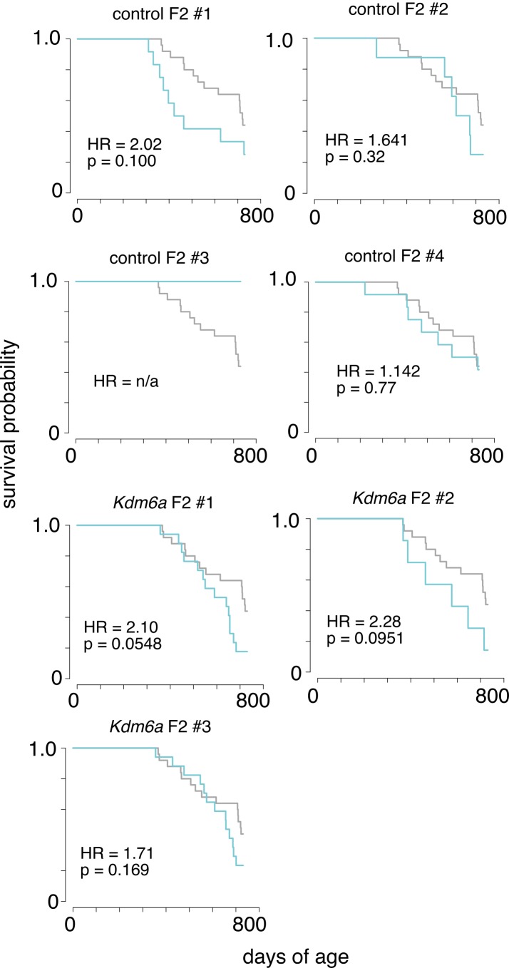 Figure 2—figure supplement 1.