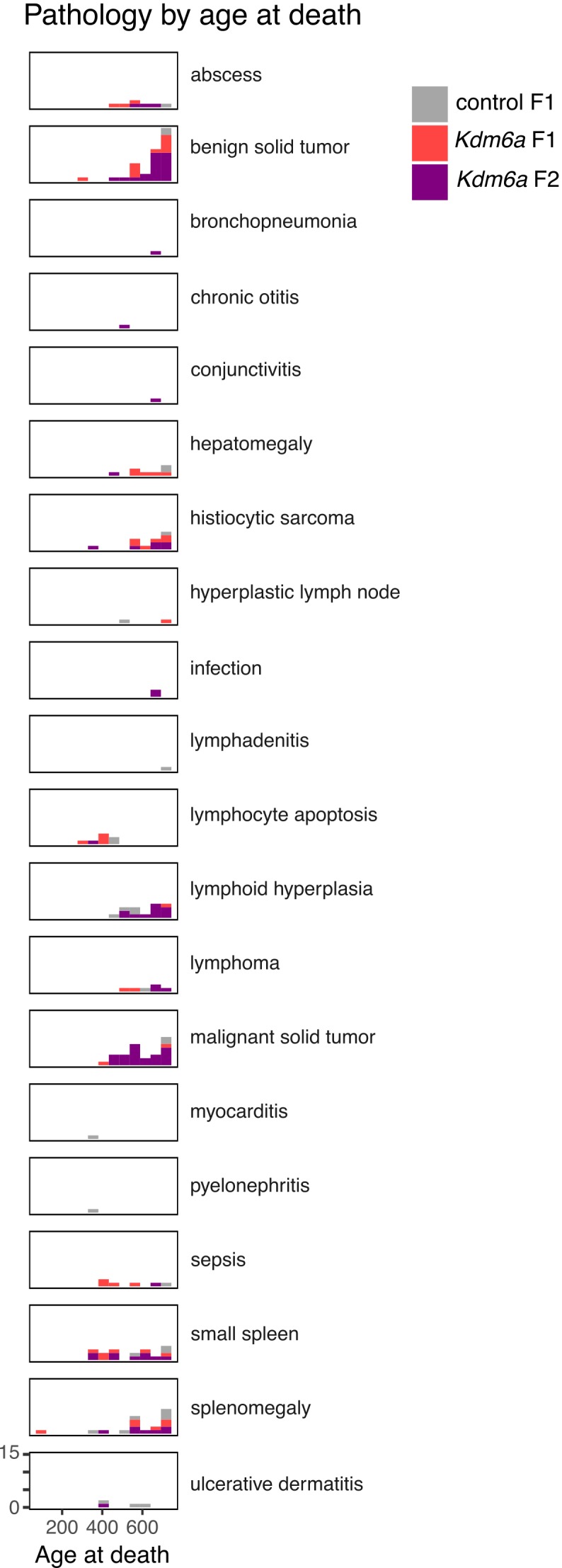 Figure 2—figure supplement 2.