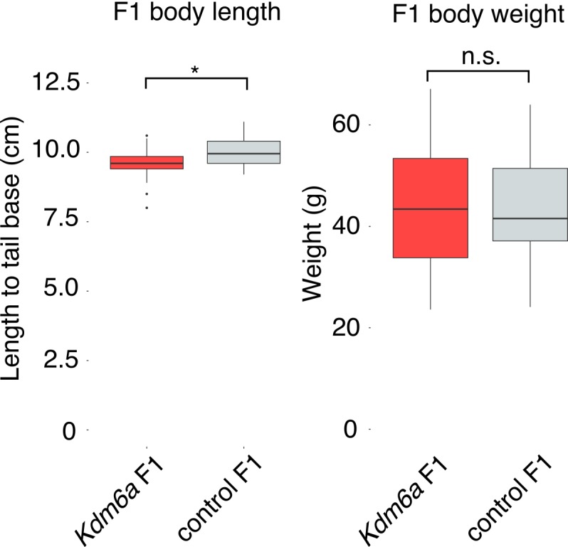 Figure 1—figure supplement 6.