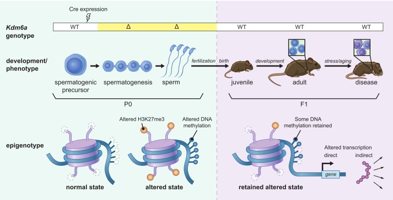 Figure 6.