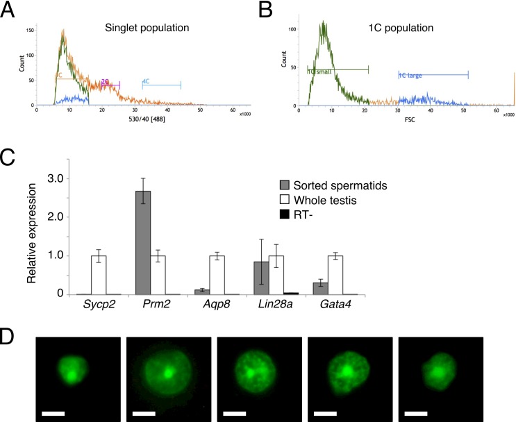 Figure 4—figure supplement 3.