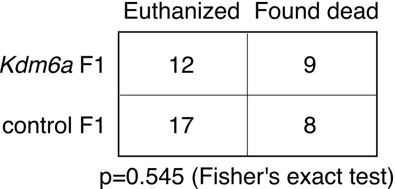 Figure 1—figure supplement 5.