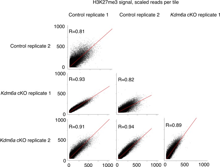 Figure 3—figure supplement 2.