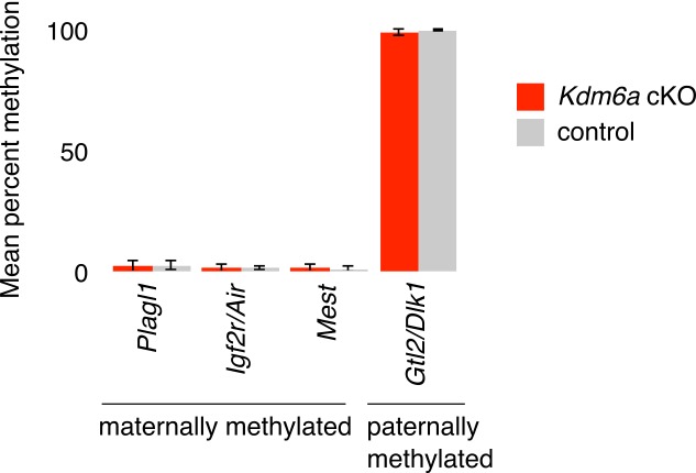 Figure 3—figure supplement 1.