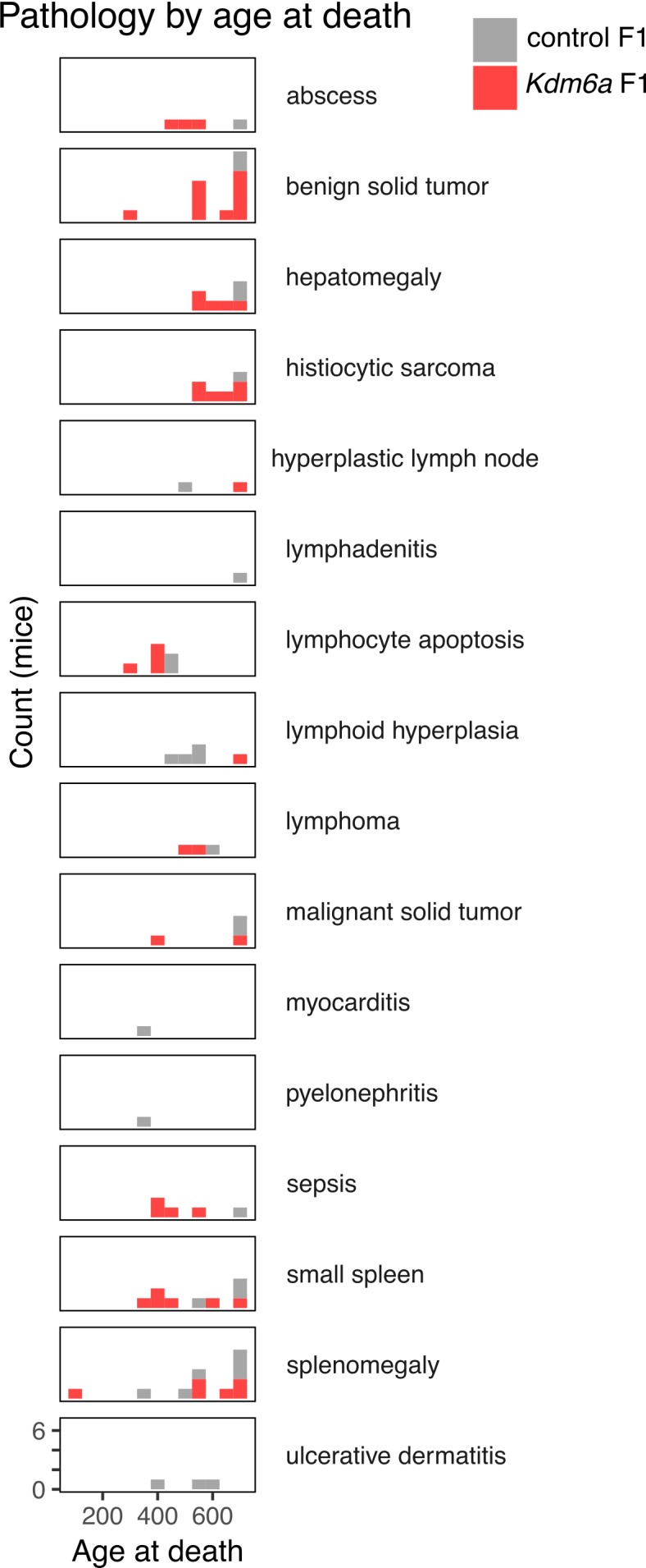 Figure 1—figure supplement 7.