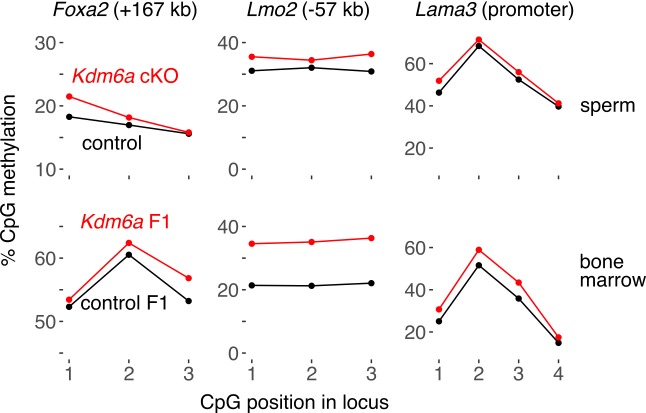 Figure 4—figure supplement 1.