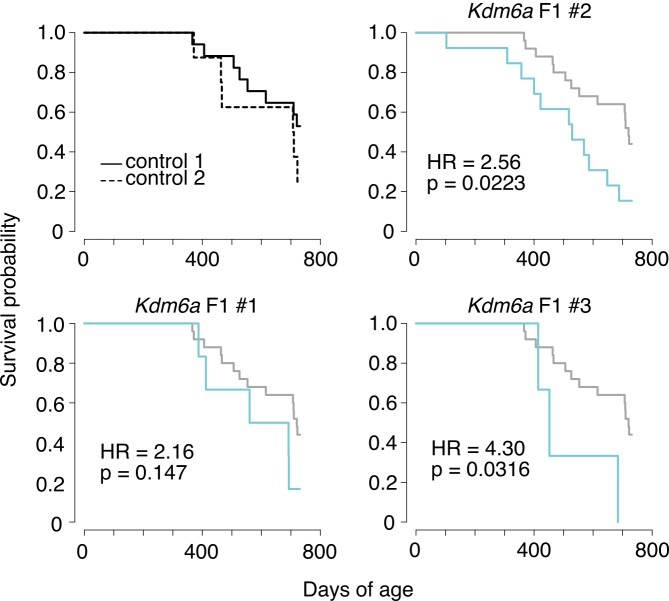 Figure 1—figure supplement 3.