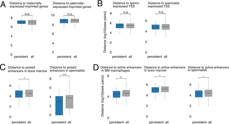 Figure 4—figure supplement 2.