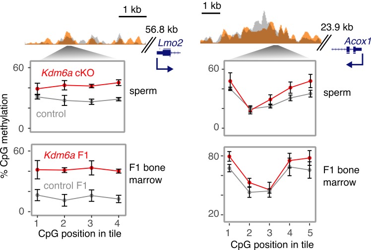 Figure 4—figure supplement 4.