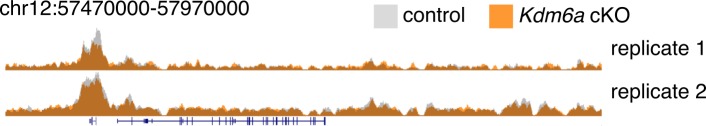 Figure 3—figure supplement 4.