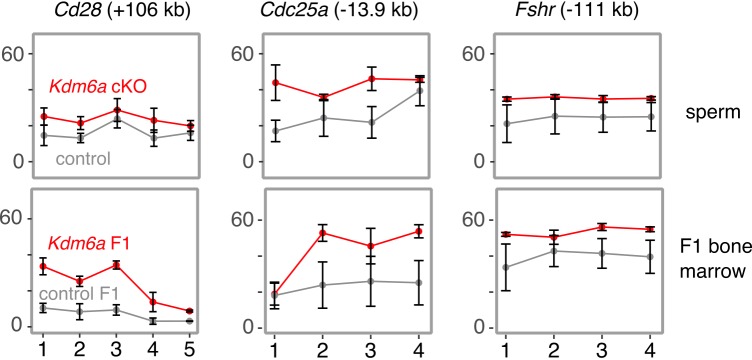 Figure 4—figure supplement 5.