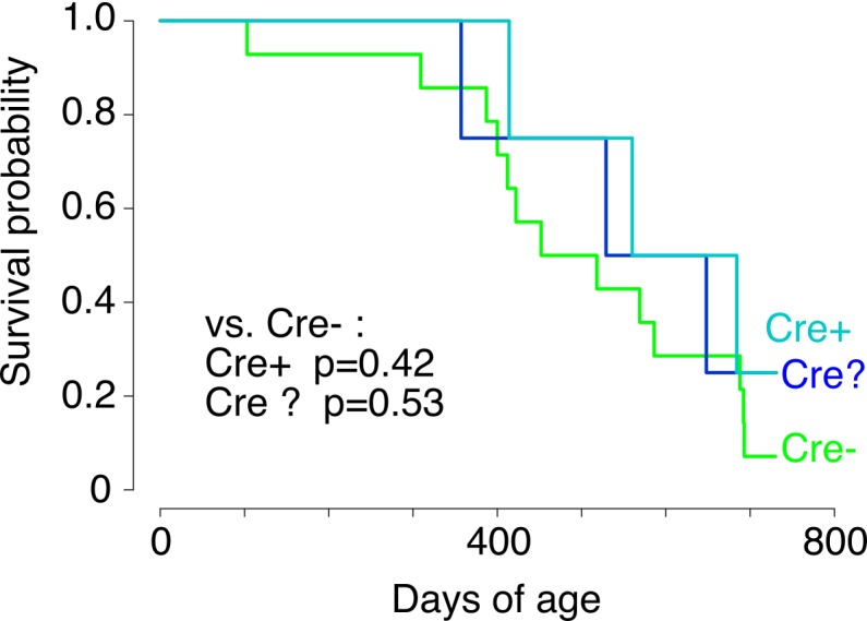 Figure 1—figure supplement 4.