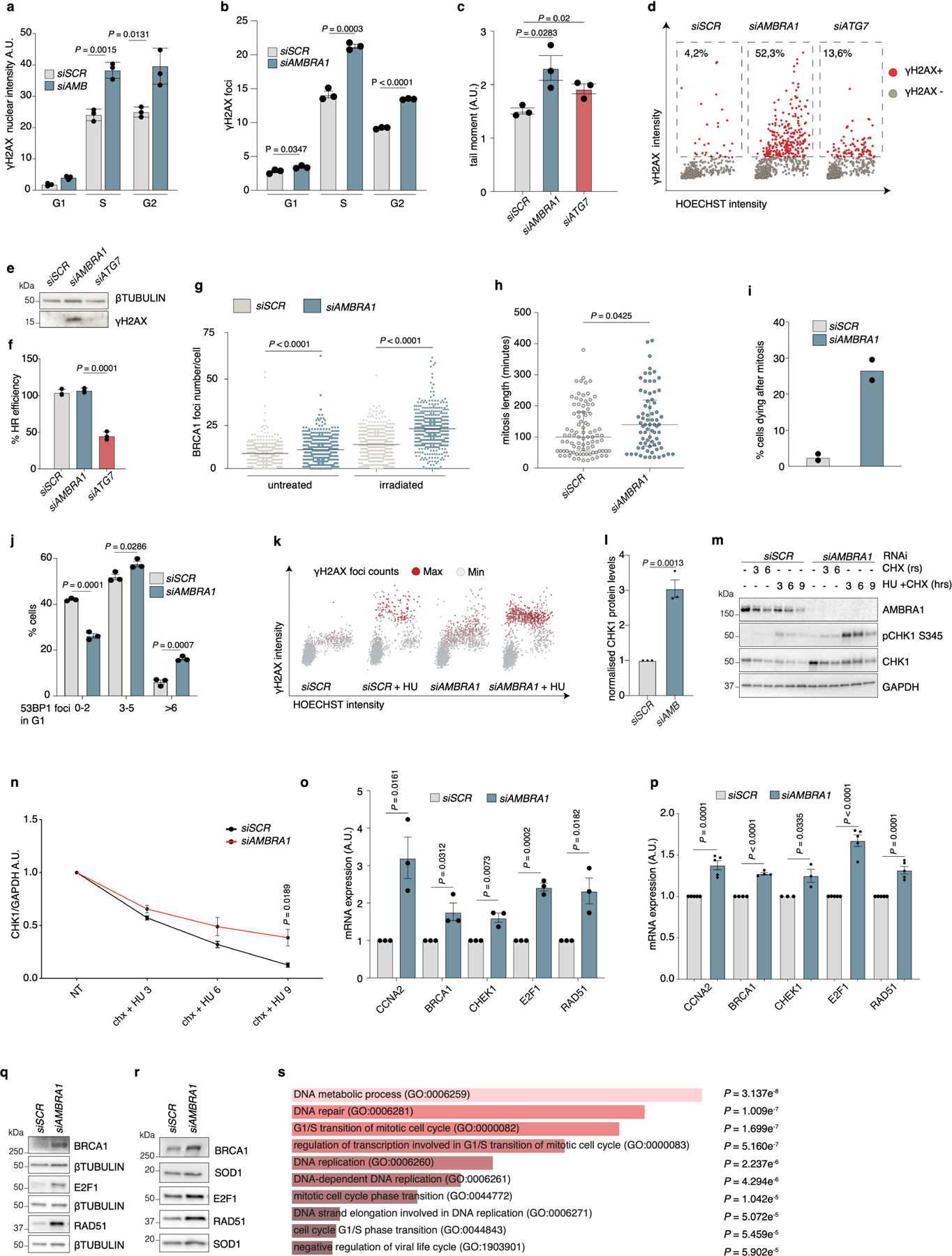 Extended Data Fig. 4 |