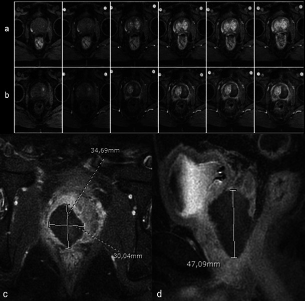 Fig. 7