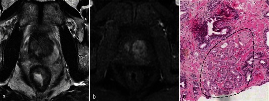 Fig. 27