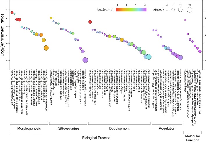 Figure 4—figure supplement 1.