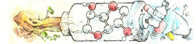 graphic file with name CSSC-15-0-g008.jpg