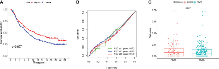 Figure 11