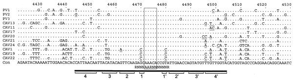 FIG. 4.